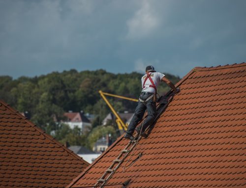 L’importance du démoussage de toiture !