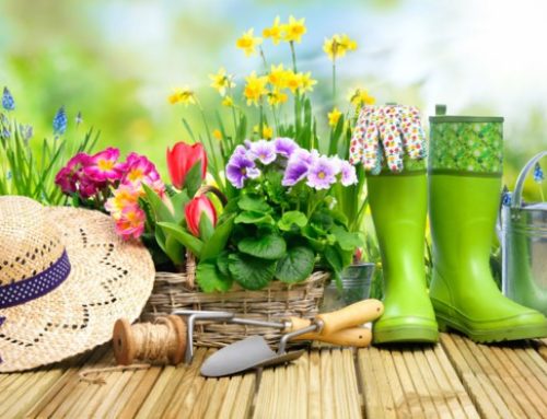 Bien choisir un salon de jardin : inspiration et conseil d’un spécialiste de jardinage à Rennes.