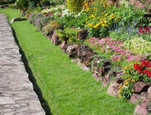 6 astuces pour bien entretenir votre jardin