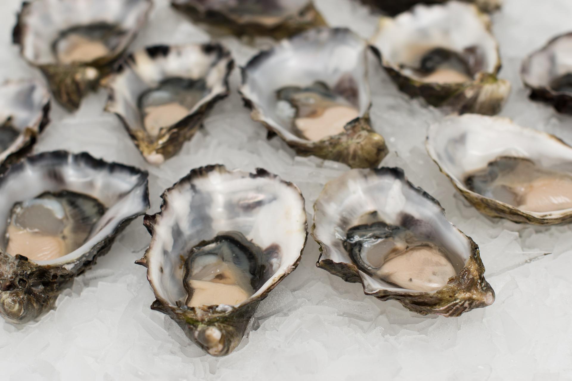 We Rank Oysters G70112ea5e 1920