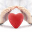 Red Heart Covered By Hands. Health Insurance Or Love Concept